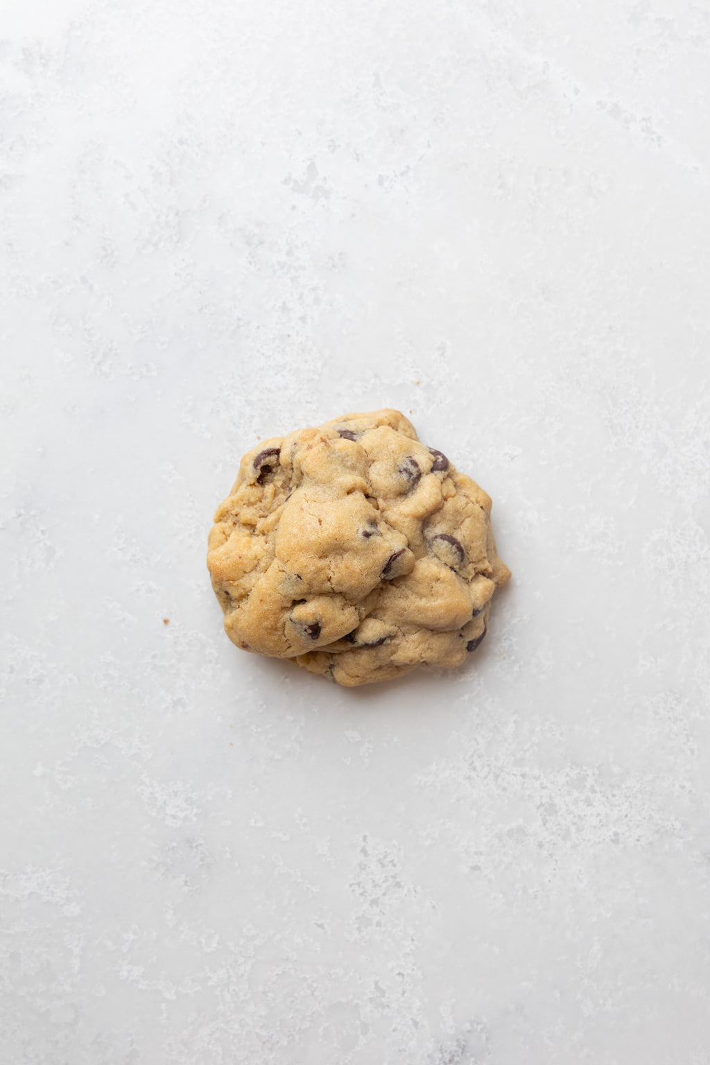 Choc Chip Walnut Cookie