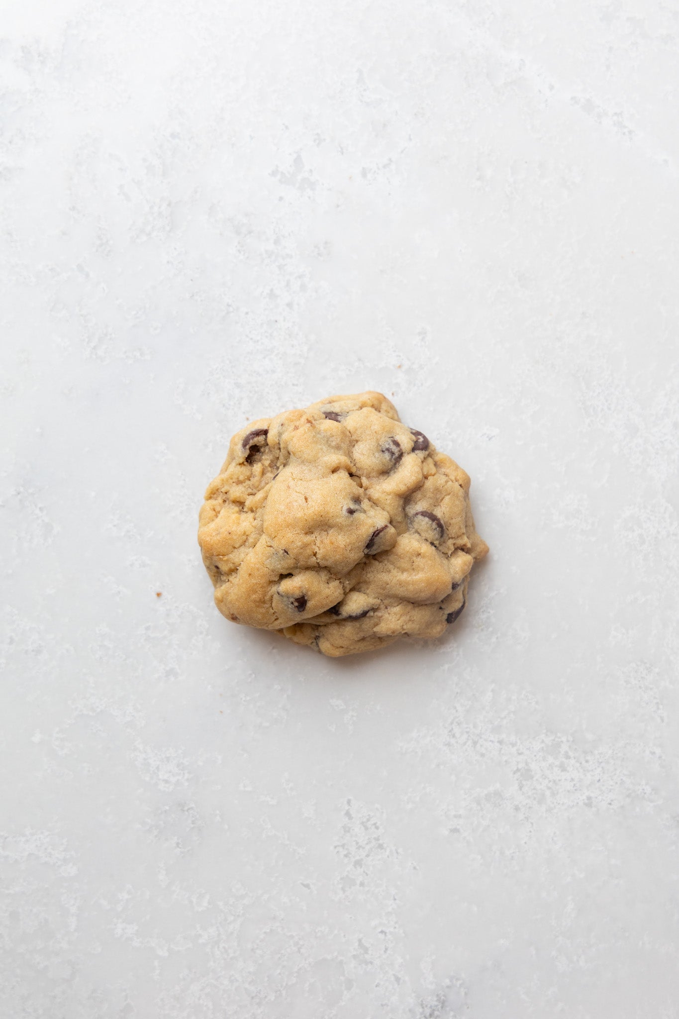 Choc Chip Walnut Cookie