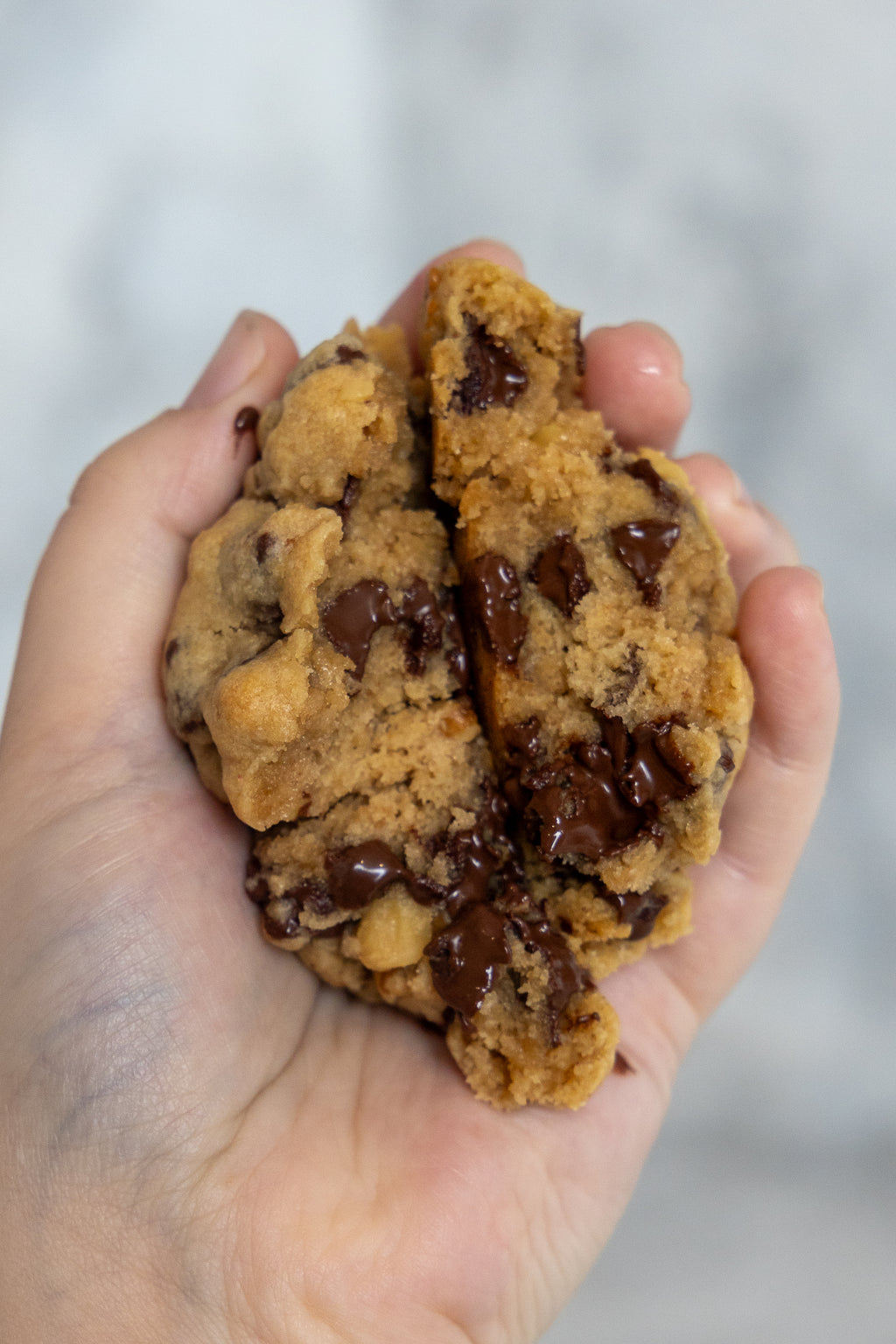 Choc Chip Walnut Cookie